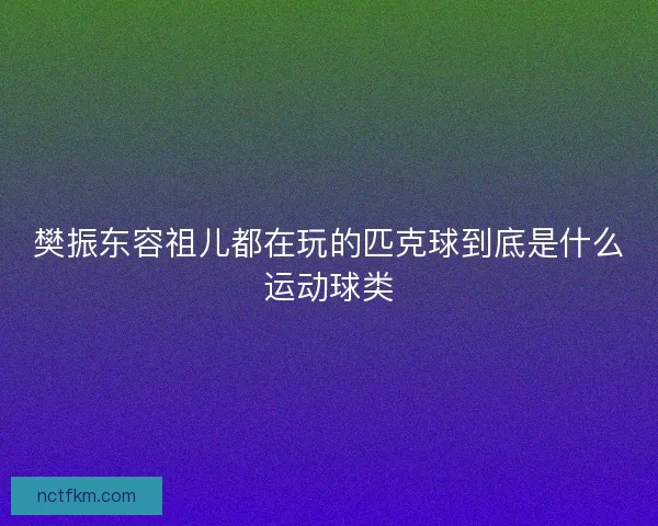 樊振东容祖儿都在玩的匹克球到底是什么运动球类