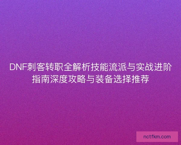 DNF刺客转职全解析技能流派与实战进阶指南深度攻略与装备选择推荐