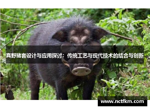 真野猪套设计与应用探讨：传统工艺与现代技术的结合与创新